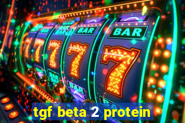 tgf beta 2 protein