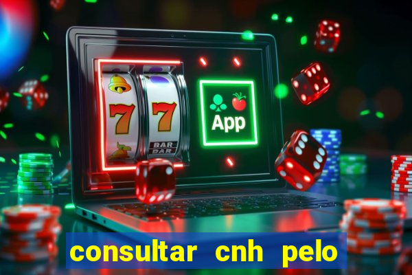 consultar cnh pelo cpf sp