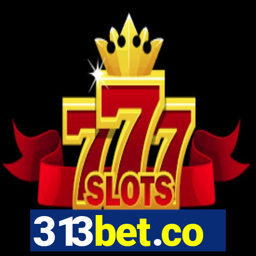 313bet.co