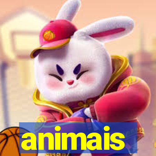 animais-pg.com