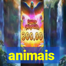 animais-pg.com