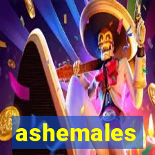 ashemales