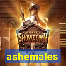 ashemales