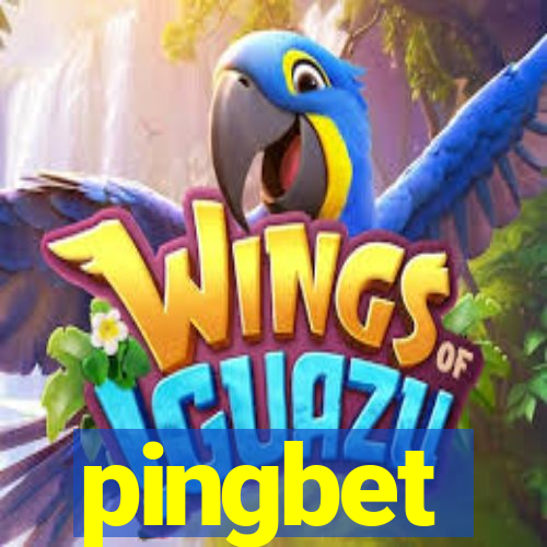 pingbet