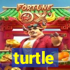 turtle-ty.com